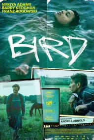 Bird (2024) stream deutsch