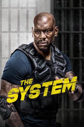 The System (2022)