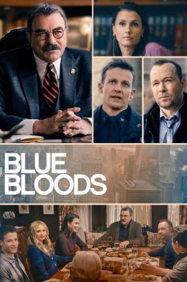 Blue Bloods - Crime Scene New York - Staffel 13 (2023)