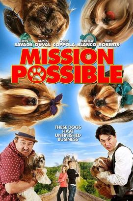 Mission Possible (2018)